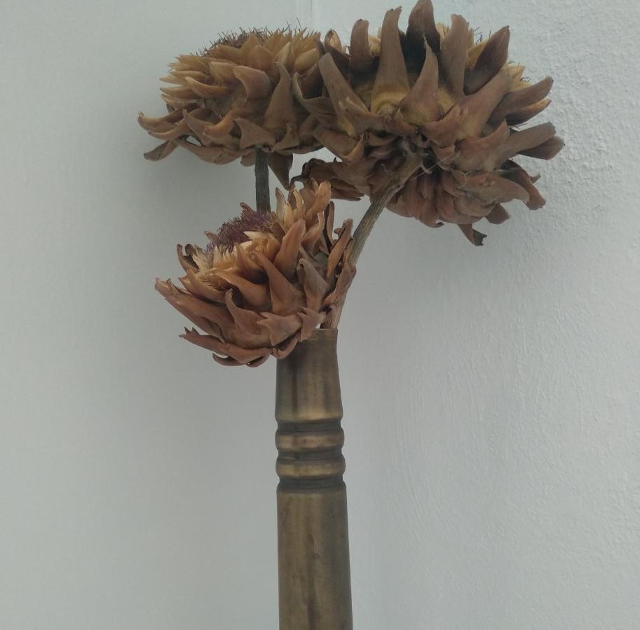 Thimisi Villa Skopelos Buitenkant foto